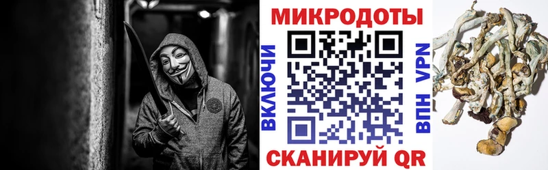 Галлюциногенные грибы MAGIC MUSHROOMS  даркнет сайт  Тотьма 